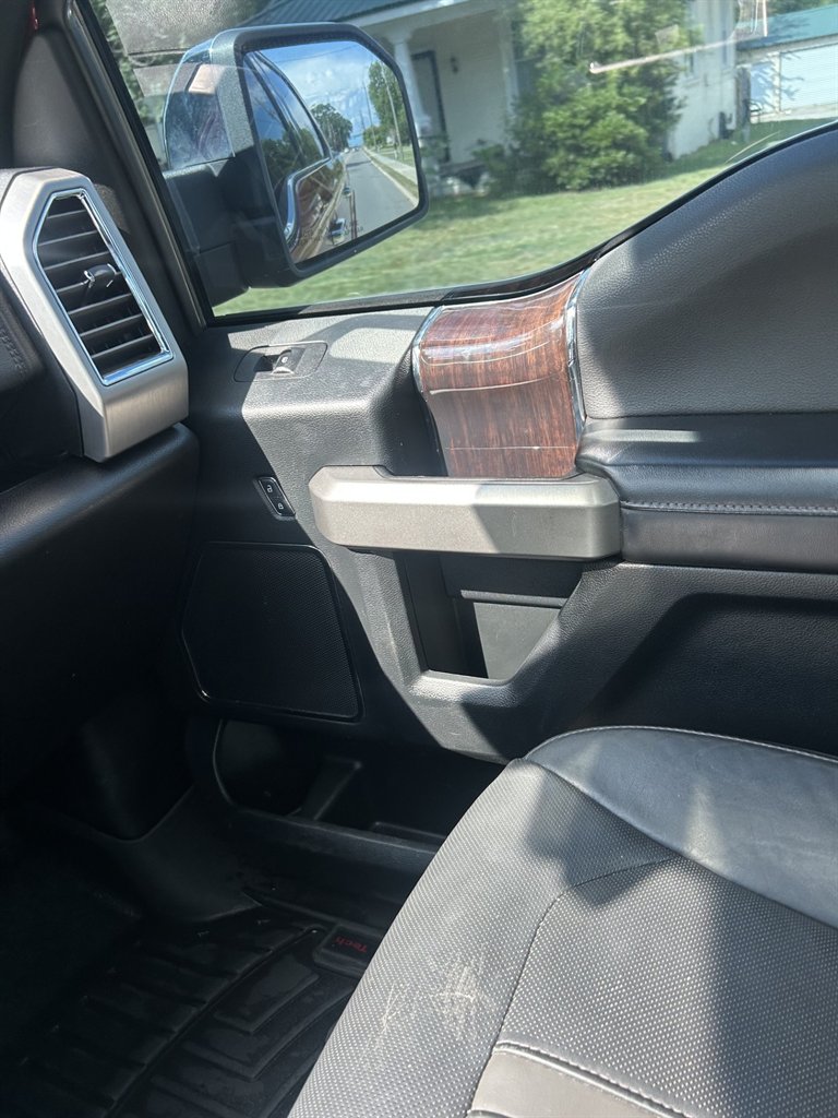 2015 Ford F-150 Platinum - Photo 9